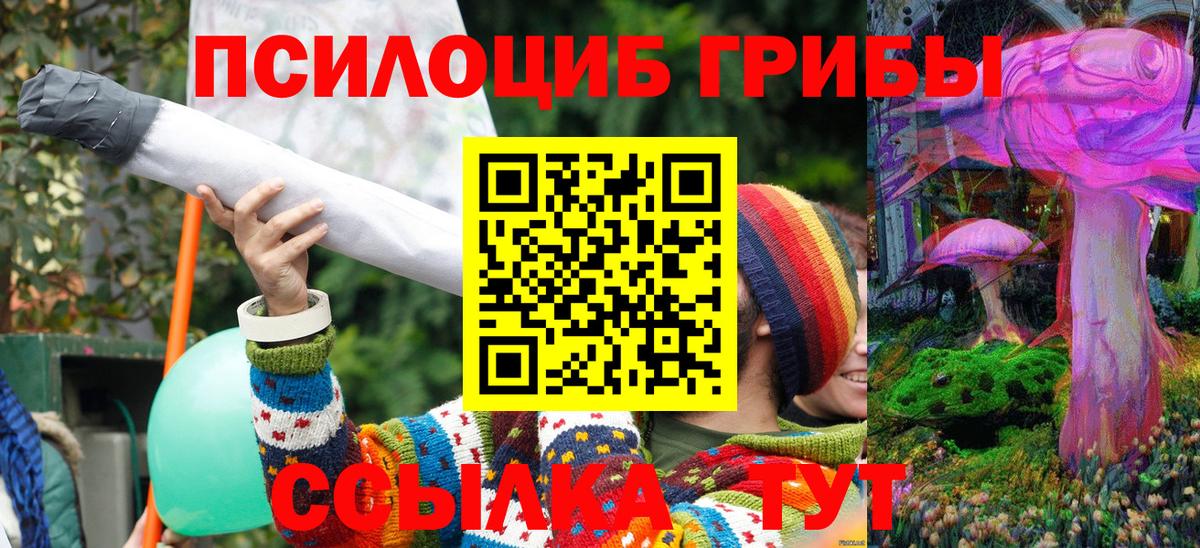 Галлюциногенные грибы MAGIC MUSHROOMS  Вход с VPN  Саянск 