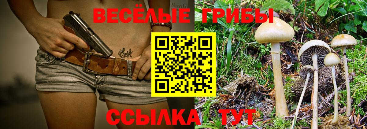 Галлюциногенные грибы прущие грибы Саянск